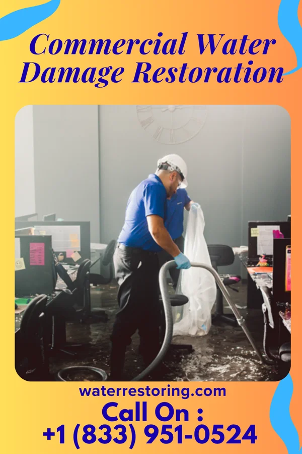 Commercial Water Damage Restoration in Palmyra, IL