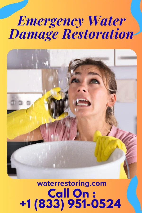 Emergency Water Damage Restoration in Palmyra, IL